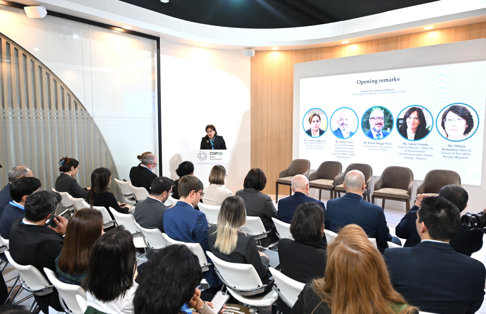 COP29-da Qafqaz dağlarının dayanıqlılığı müzakirə edildi