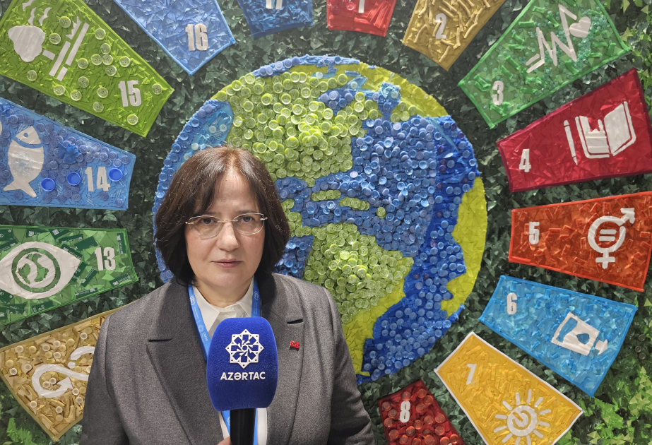 Türkiyə COP29-da 1800 nəfərlə iştirak edib