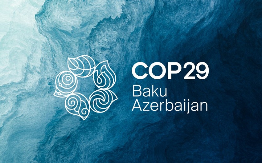 COP29-da quracağımız gələcəyin təməli qoyulub - UNEP rəhbəri