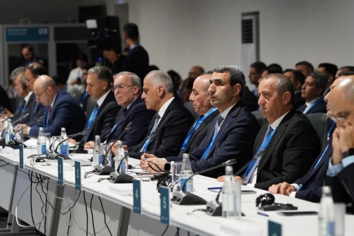 ADY COP29 çərçivəsində iqlim siyasətində aktiv iştirak edib - FOTO 