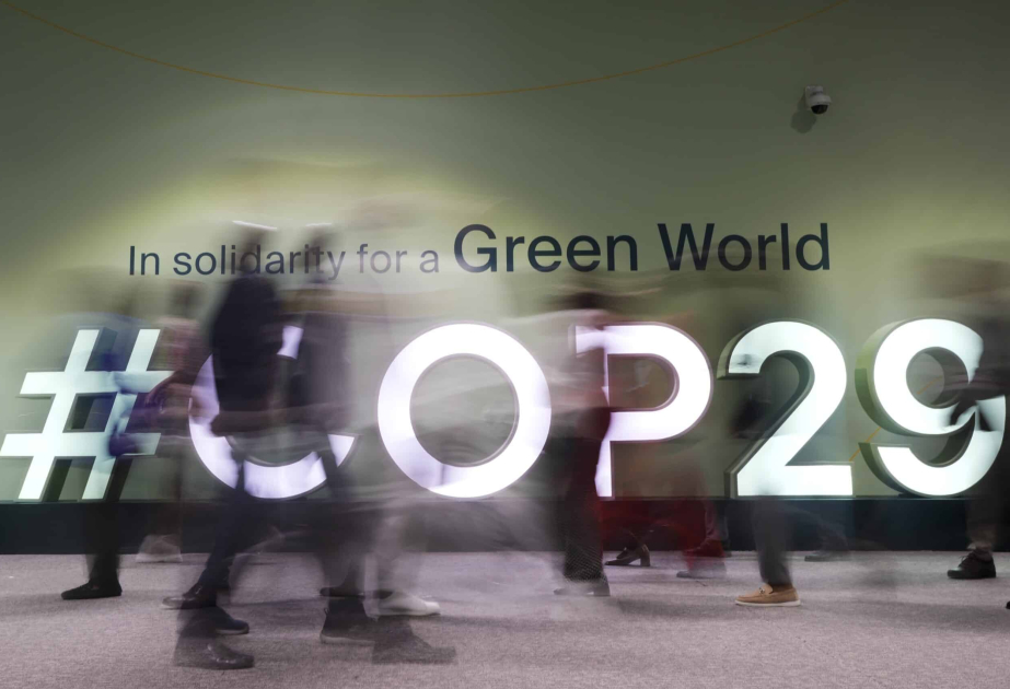 COP29-da ən çox kiberhücum olunan SAYTLAR