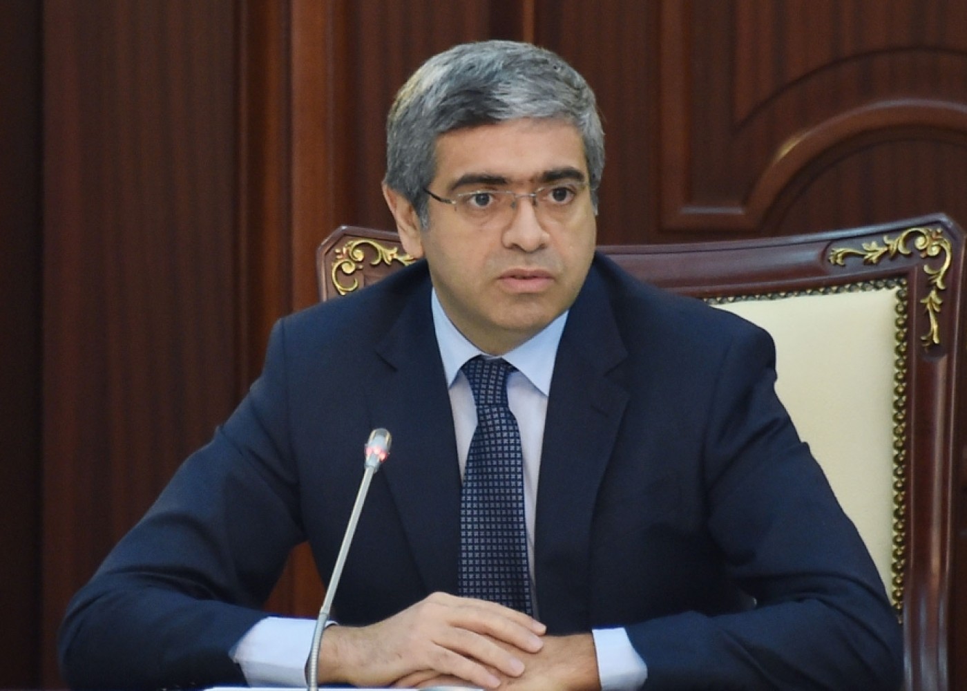 Avropa ölkələri bizdən bu modelləri öyrənirlər - Nazir müavini