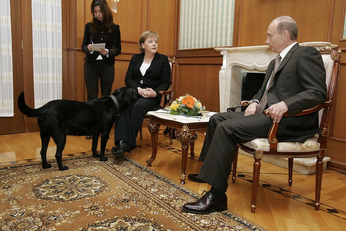 "Dedim ki, Angela, bağışla, mən bilmirdim"
