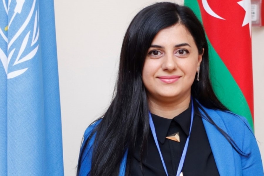 Bəzi İctimai şuralar təyinat əsasında formalaşdırılıb - Deputat