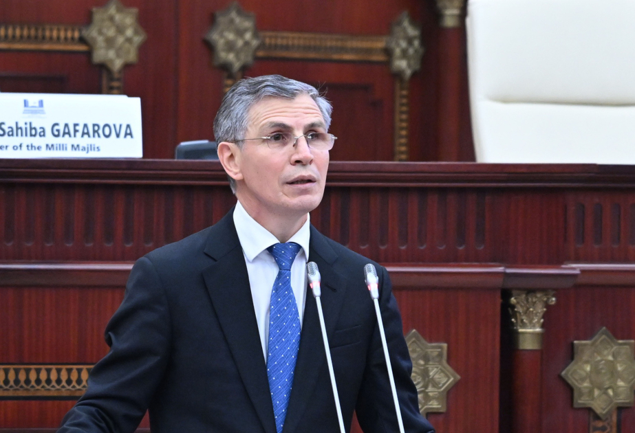 Azərbaycan dünyada sülh istəyir - Komitə sədri