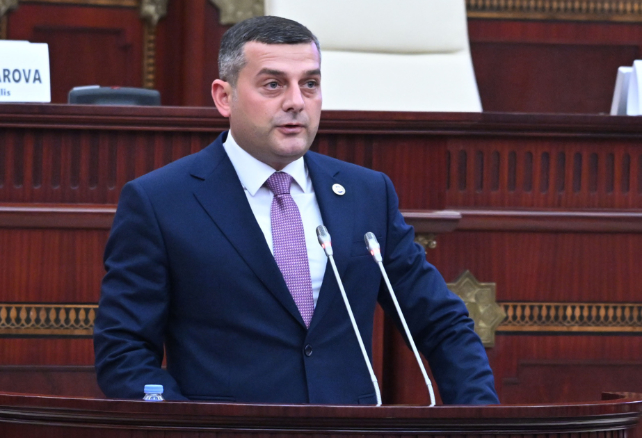 Azərbaycanla strateji tərəfdaşlığı dərinləşdirməyə hazırıq - Gürcü deputat