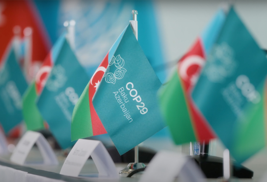 COP29 QHT-lər üçün unikal ŞANSDIR