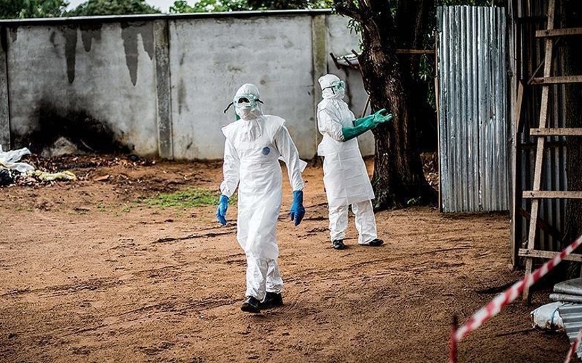 Qanada vəba epidemiyası - 14 nəfər öldü