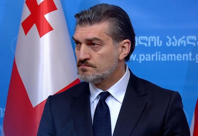 Gürcüstanın yeni prezidenti xaosun qarşısını ALACAQ