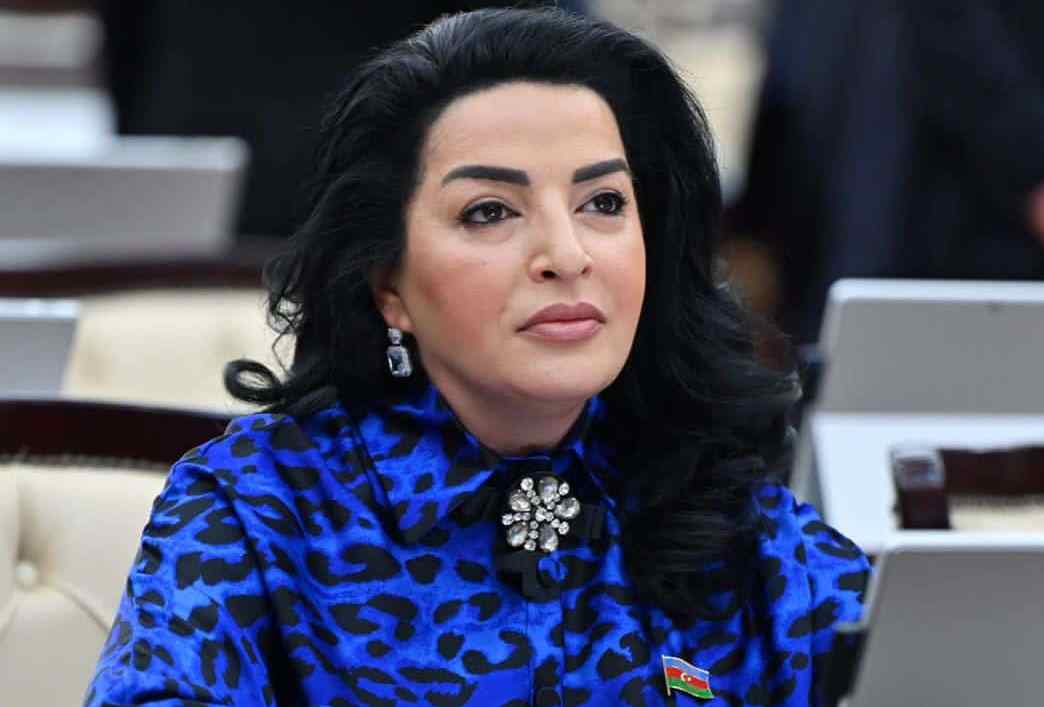 Ermənistan bu mesajlardan nəticə çıxarmalıdır - Fatma Yıldırım