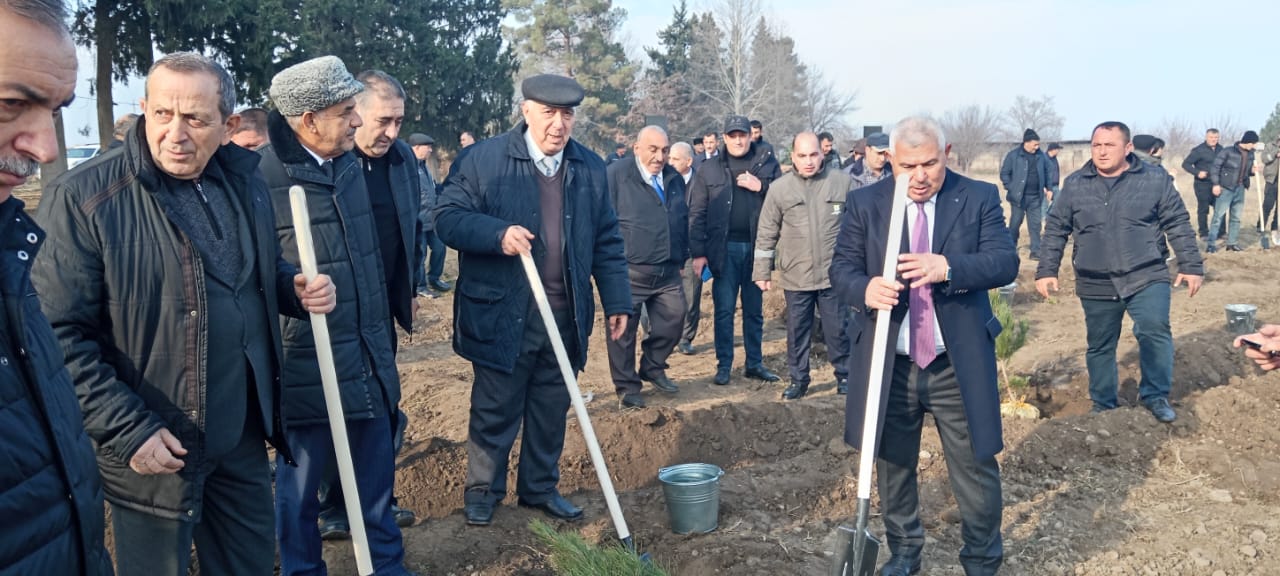 Prezidentin ad günündə minlərlə ağac əkildi - FOTO 