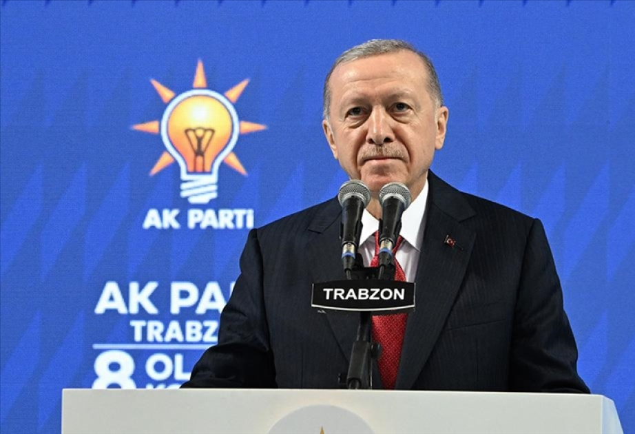 Terror problemi Türkiyənin gündəmindən çıxarılacaq