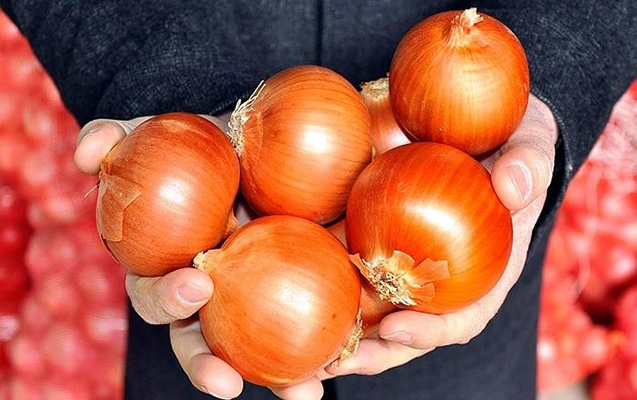 Soğanın qiyməti artıb