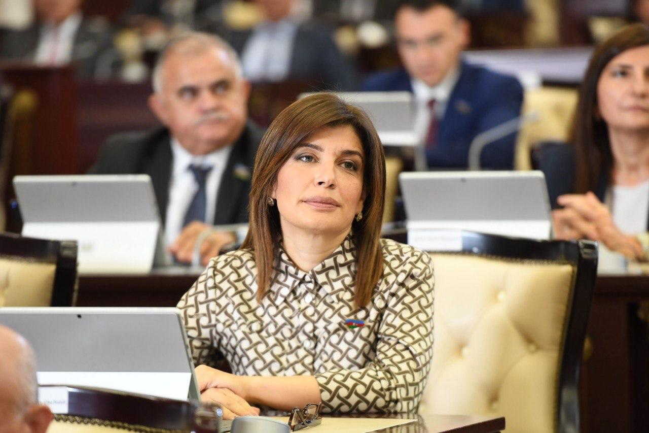 O gecə yaşadığımız dövlətə inamımız sarsıldı - Deputat