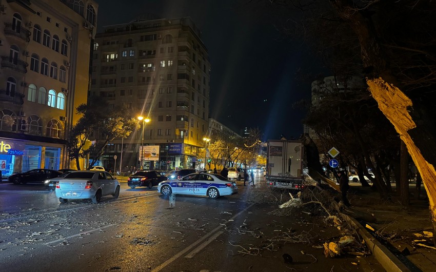 Yasamalda qəza: yük maşını ağaca çırpıldı 