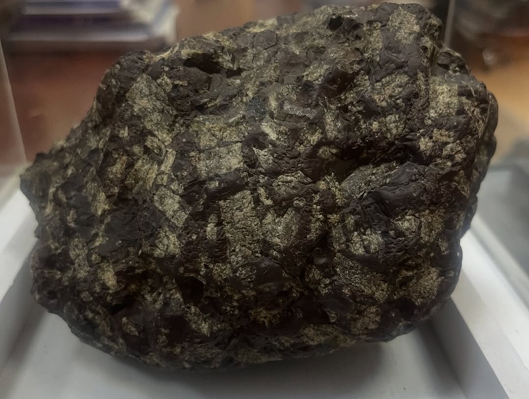 Aparıcının həyətinə düşən daş meteorit imiş - FOTO