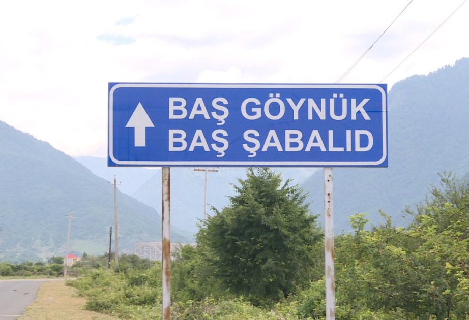 Şəkidə ağır qəza: ölən var 