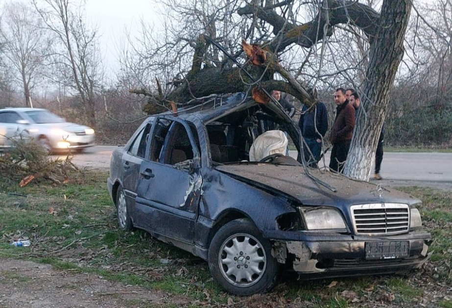 "Mercedes" ağaca çırpıldı - Ölən var