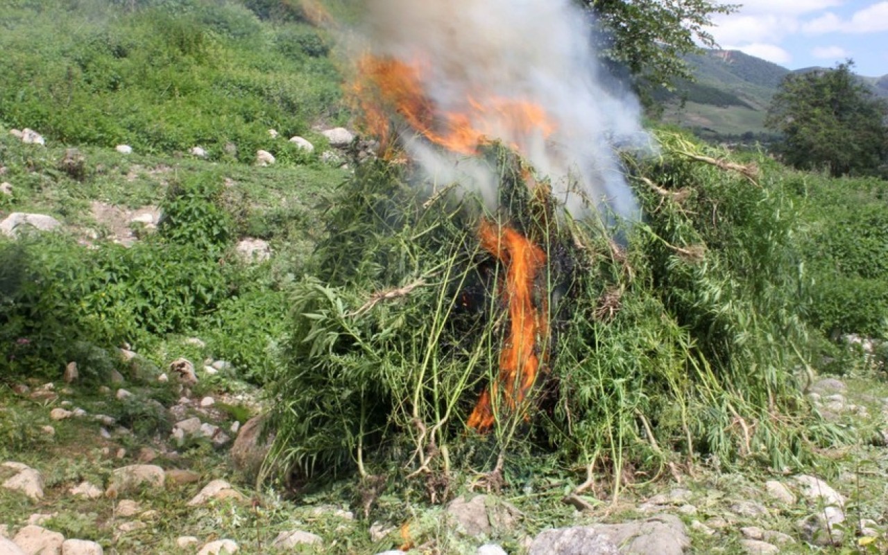 Müsadirə olunmuş narkotik vasitələr məhv edildi
