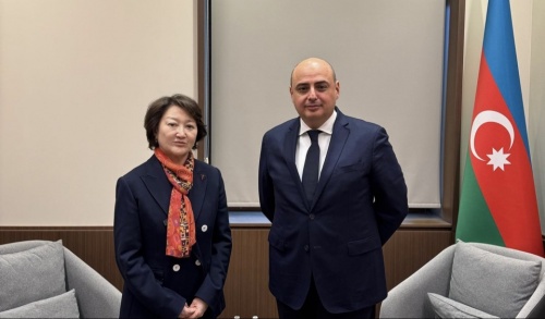 Türk Mədəniyyəti və İrsi Fondunun prezidenti XİN-in xüsusi səfiri ilə görüşüb