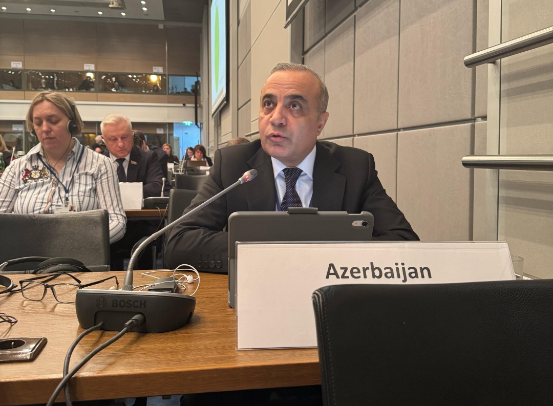 ATƏT güclü və qərəzsiz bir qüvvə olaraq qalmalıdır - Azay Quliyev