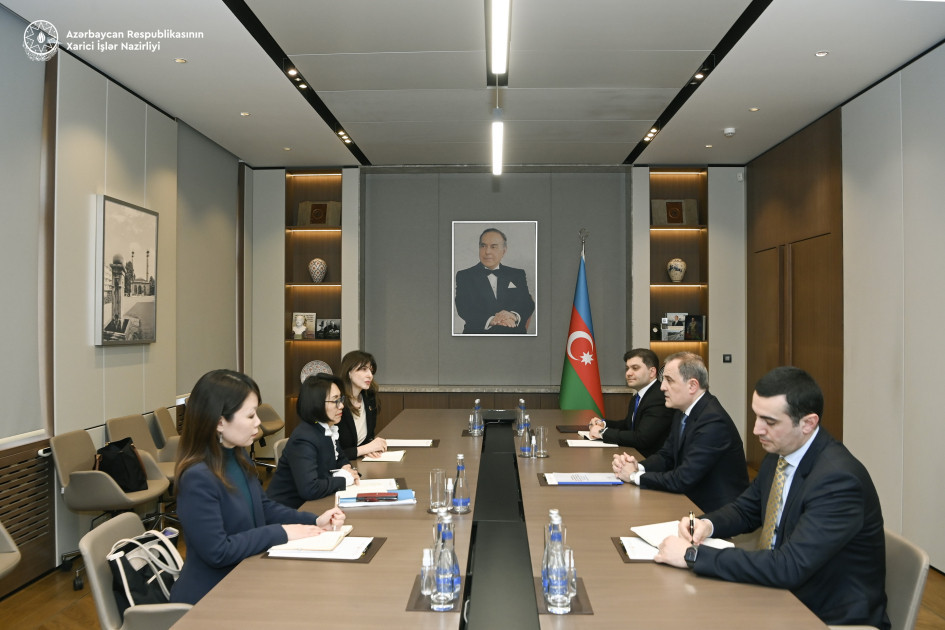 Azərbaycanın BMT qurumları ilə yeni əməkdaşlıq modeli AÇIQLANDI