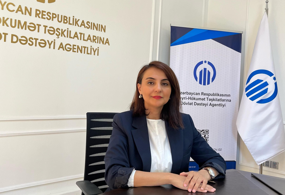 Ləkələmə kampaniyası ilə, hay-küylə dövlət büdcəsindən vəsait qoparmaq mümkün deyil - MÜSAHİBƏ