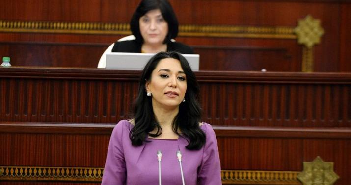 Parlament ombudsmanın məruzəsini qəbul etdi