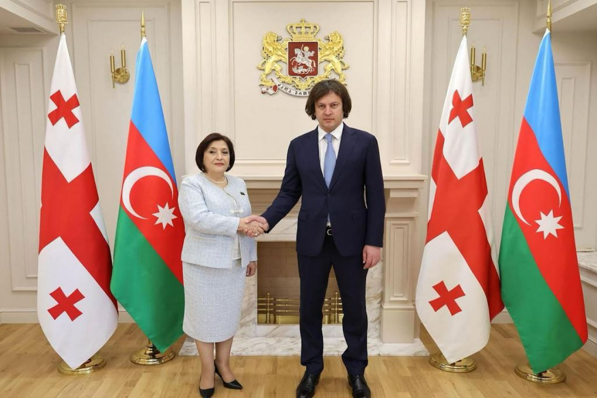 Sahibə Qafarova Gürcüstanın Baş naziri regional məsələləri müzakirə etdi