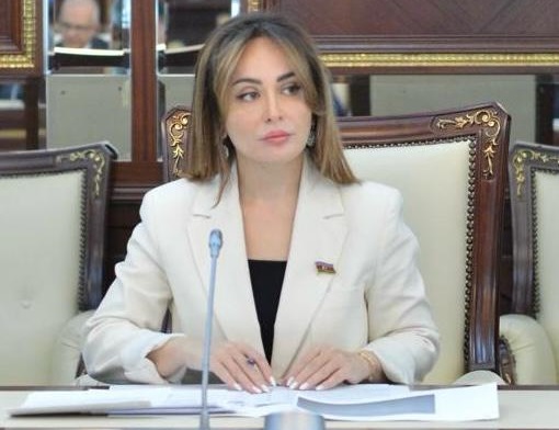 Sosial xidmət haqqında qanun niyə dəyişir? - Deputat İZAH ETDİ