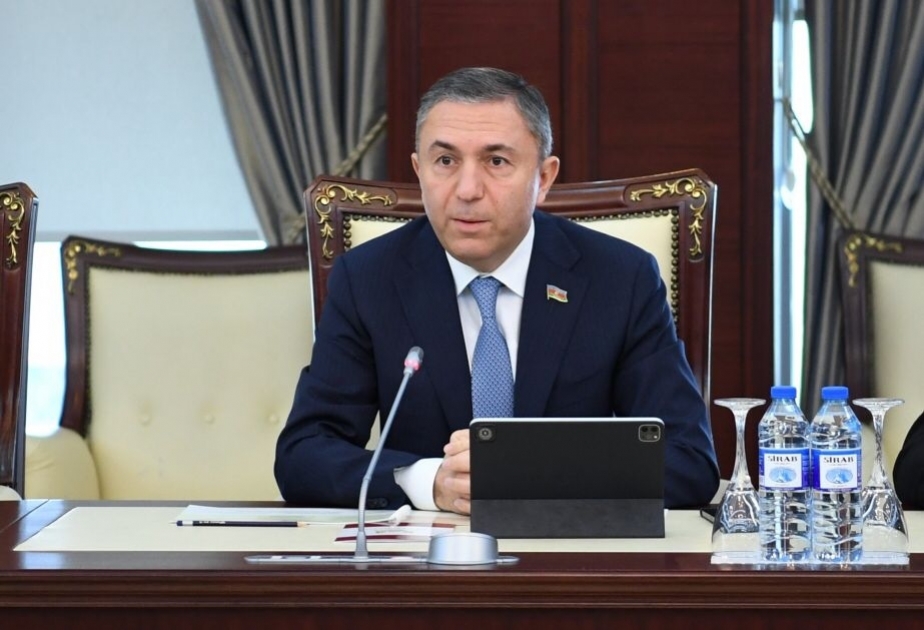 Tahir Mirkişili: Avropanın Azərbaycan qazına təlabatı getdikcə artacaq