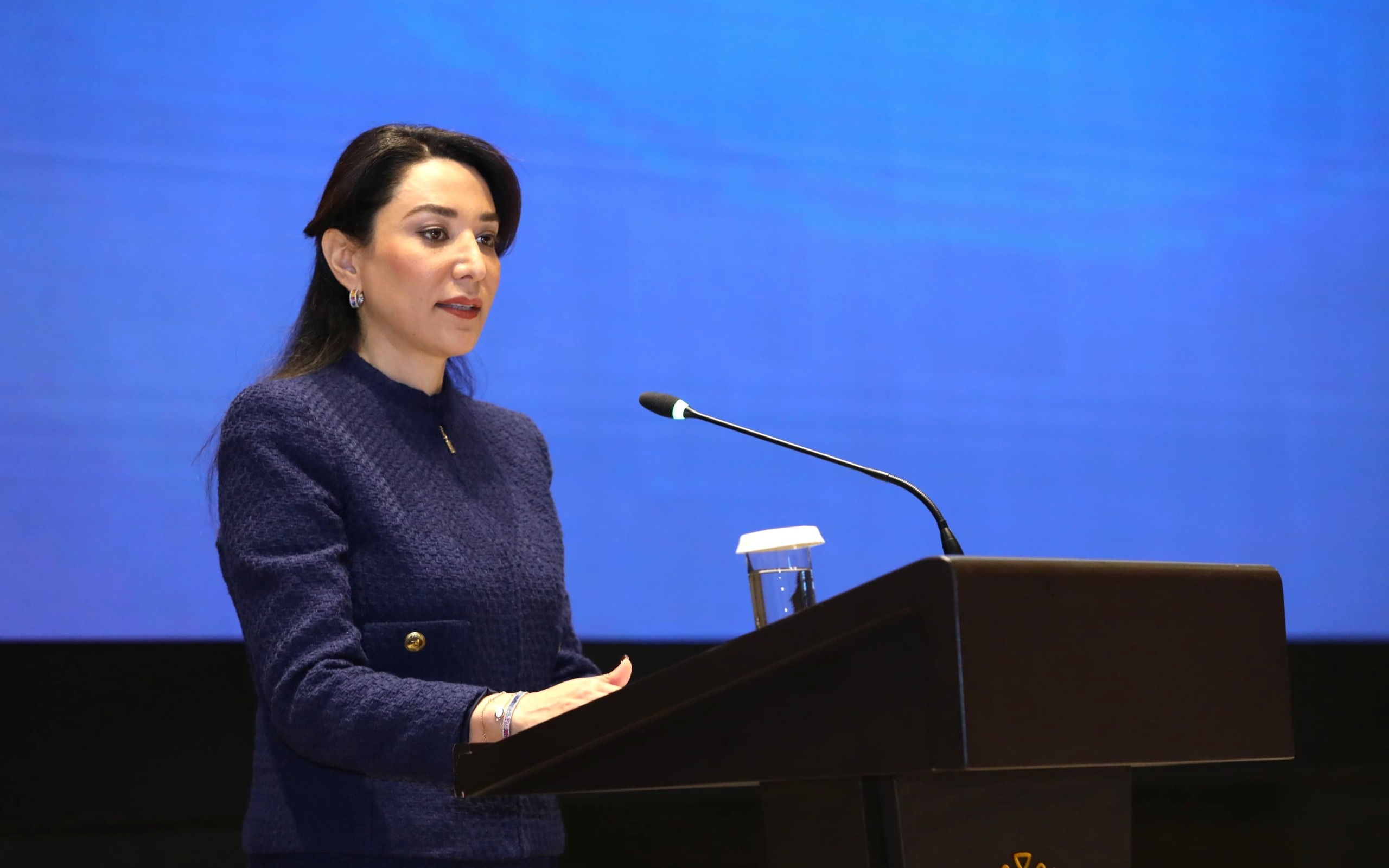 Ermənistanın mina terroru səbəbiylə günahsız insanlar təhdid altındadır - Ombudsman