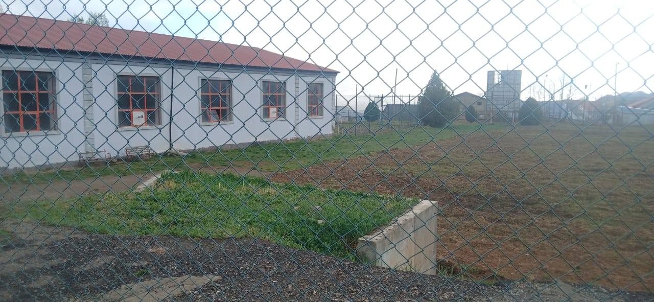 Gədəbəydə stadionu şumladılar: kartof əkəcəklər - FOTOLAR