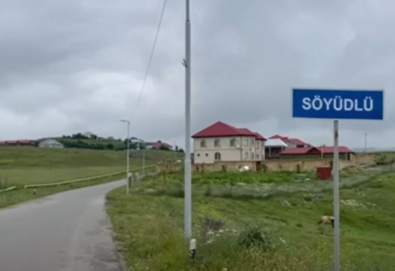 Söyüdlüdə qaynata gəlnini və nəvəsini döyərək xəstəxanalıq etdi
