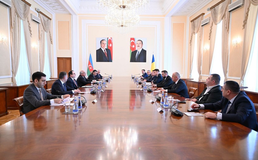 Əli Əsədov Rumıniya Parlamenti Senatının sədri ilə görüşüb