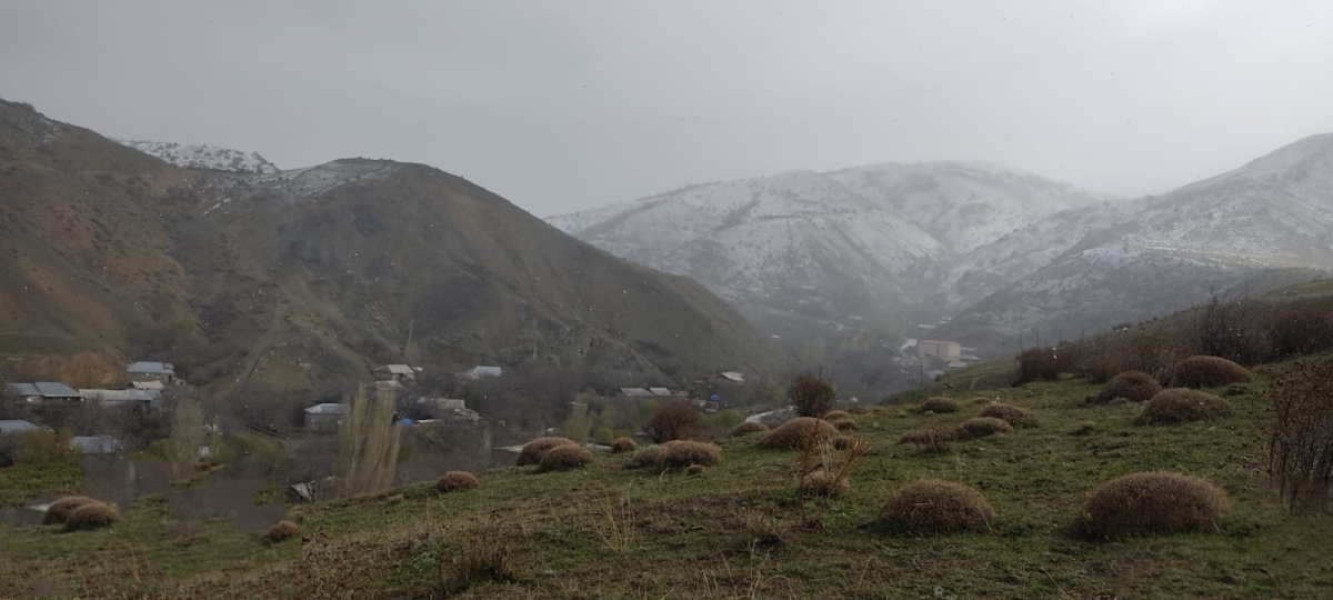 Naxçıvana da qar yağıb - FOTOLAR