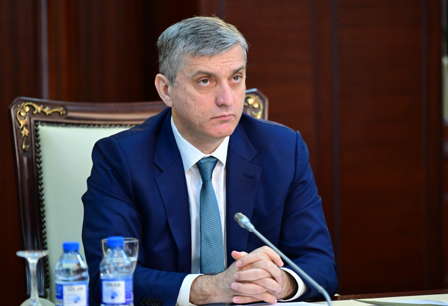 157 milyon manatlıq maliyyə pozuntusu aşkarlanıb - Palata sədri