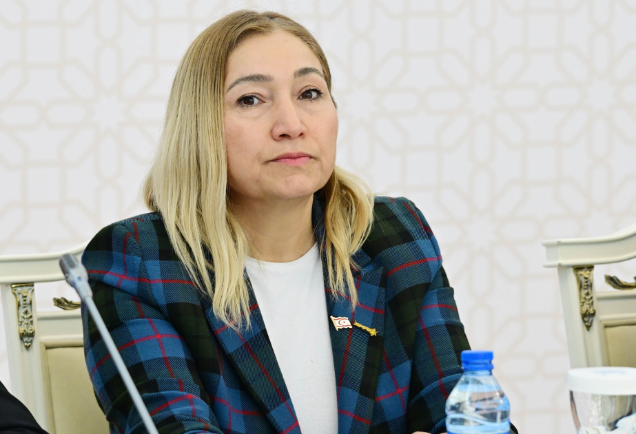 Şimali Kipr nümayəndəsi türk dövlətlərinə müraciət etdi