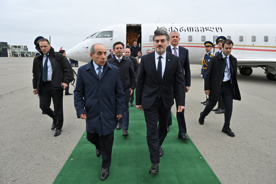 Gürcüstan Prezidenti AZƏRBAYCANDA