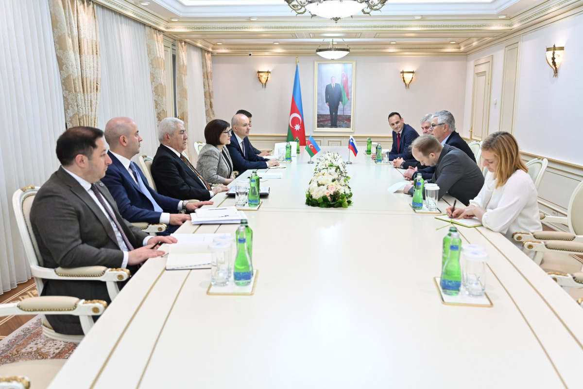 Sahibə Qafarova sloveniyalı deputatları qəbul edib