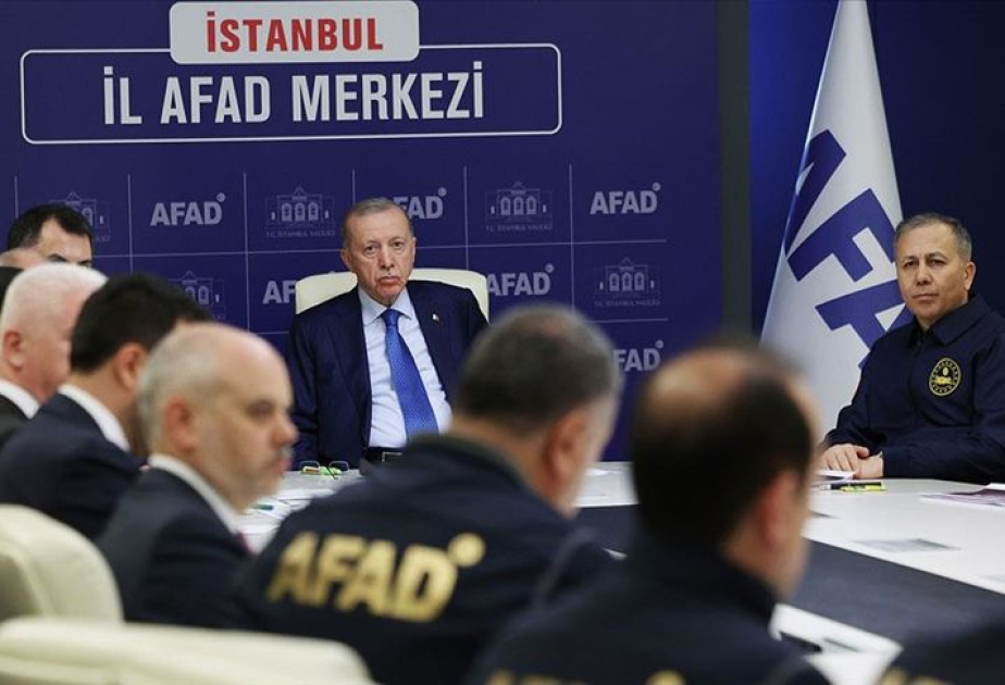 Ciddi problem müşahidə olunmayıb - Ərdoğan