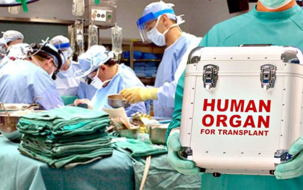 Azərbaycanda orqan transplantasiyası 