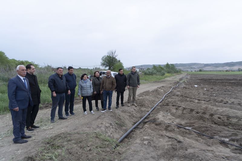 Ağalı sakinlərinə əkin torpaqları verildi - ŞƏRTLƏR