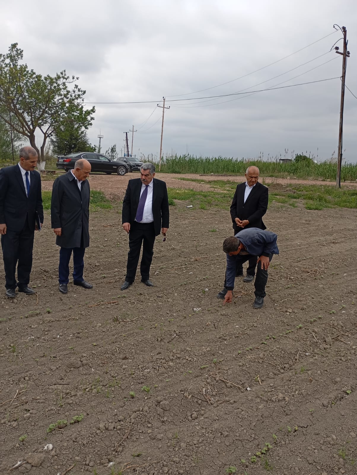 İcra başçısı pambıq əkini sahələrində - FOTO