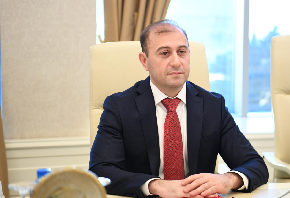 Haker hücumlarına ölkə daxilindən də dəstək verilib