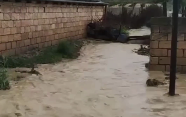 Kəndlərə sel gəldi, evləri su basdı