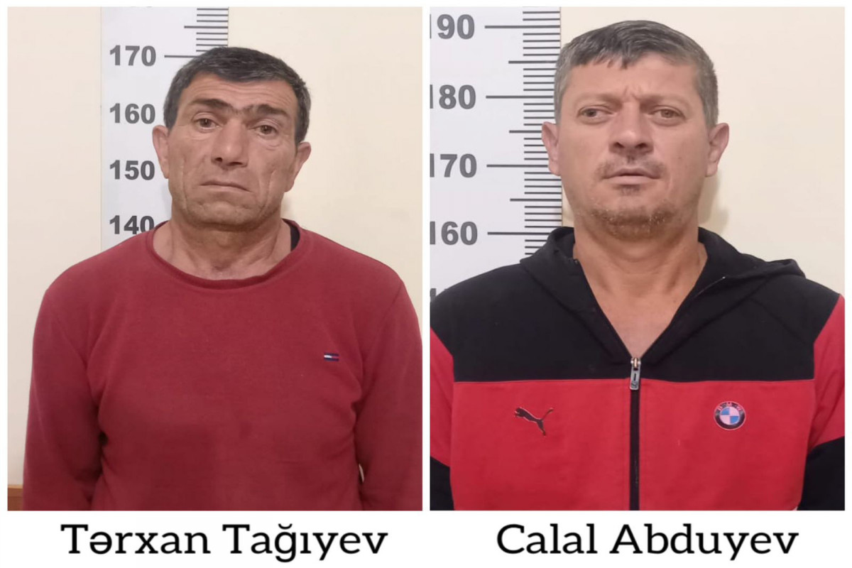 Yevlaxda 592 ədəd çətənə kolu əkənlər saxlanıldı