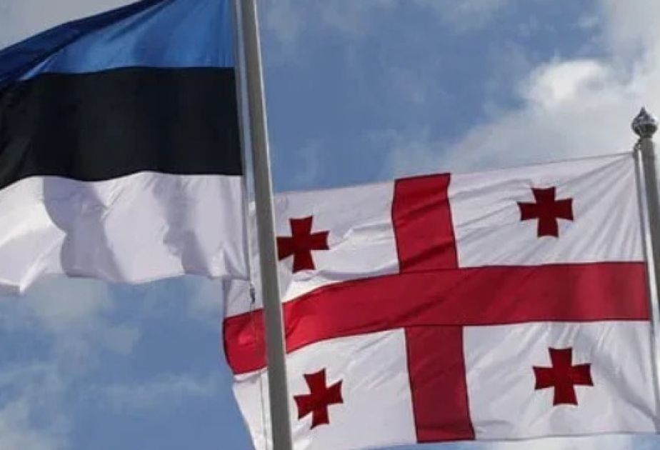 Estoniya Gürcüstan üçün vizasız rejimi ləğv etdi