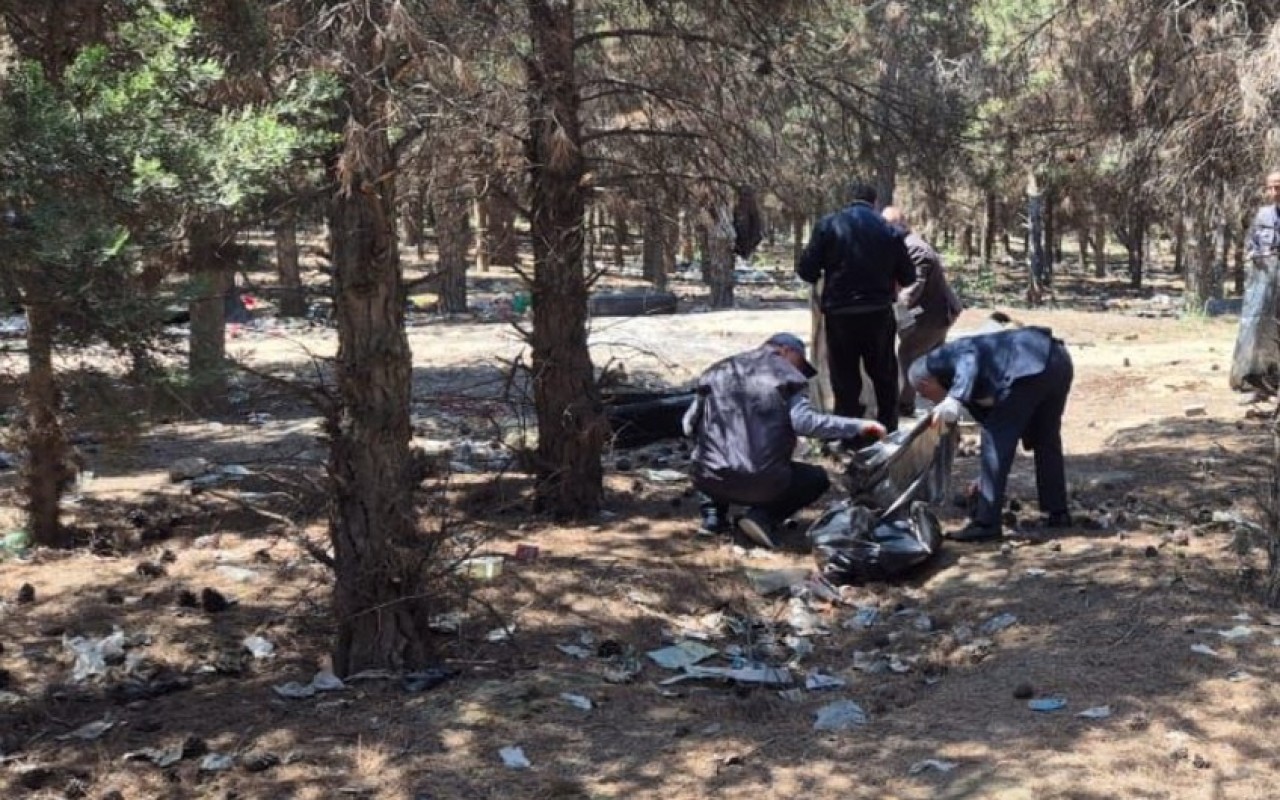 Abşeronda 64 ağacın məhv edildiyi yaşıllıq sahəsi bərpa olundu