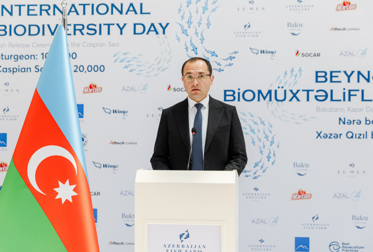 Məcnun Məmmədov koronavirusdan sağaldı